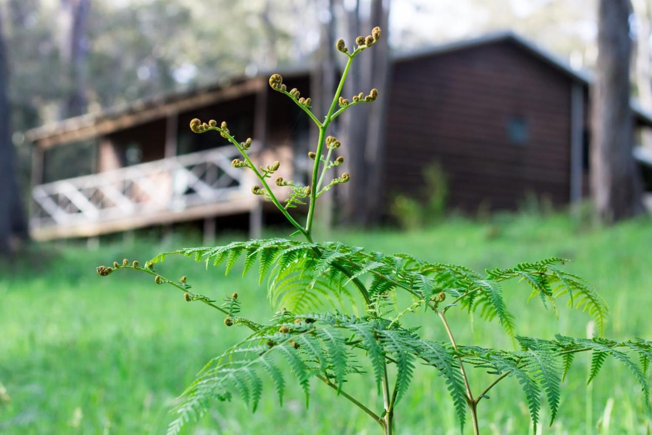 Che Sara Sara Chalets Walpole Exterior foto